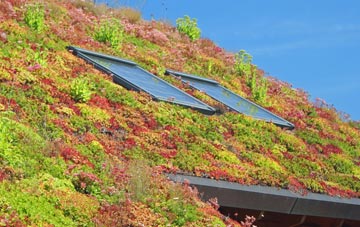 Mid Lambrook living roof systems
